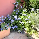 Βίλα Charmante A Avec Piscine Privee Et Jardin Agde