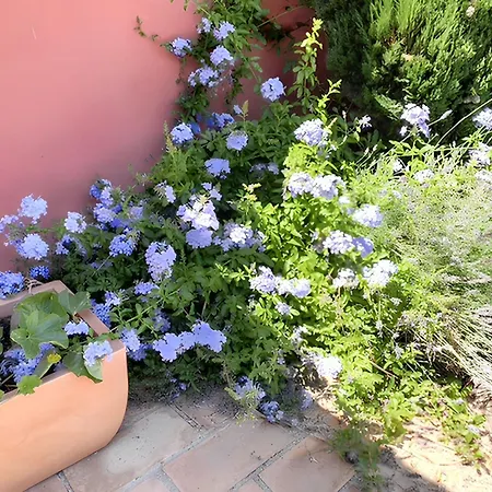 Villa Charmante A Avec Piscine Privee Et Jardin Agde