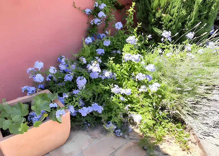 ヴィラ Charmante A Avec Piscine Privee Et Jardin アグド